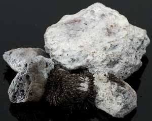 White Lodestone